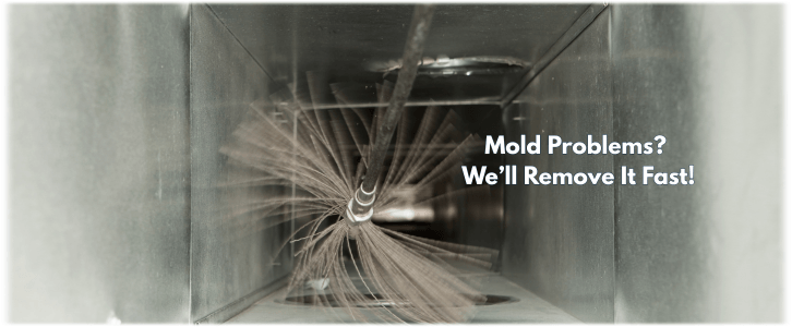 Air Duct Mold Removal in Oakland