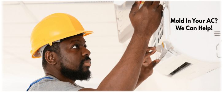 HVAC Mold Removal Oakland